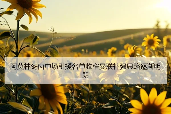 阿莫林冬窗中场引援名单收窄曼联补强思路逐渐明朗